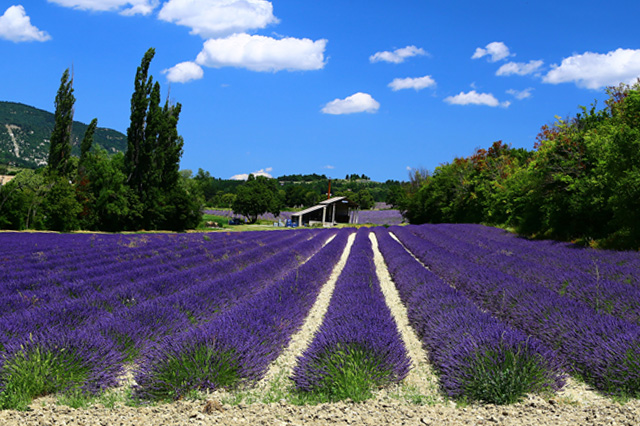 ferienhaus-frankreich-provence-feha-haus-mieten-rent-house-france